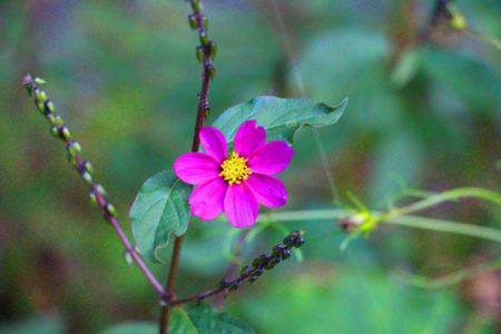 小菅トラウトガーデン 釣果