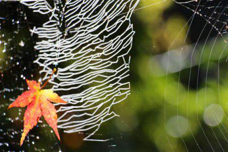小菅トラウトガーデン 釣果