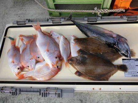 大進丸(新潟) 釣果