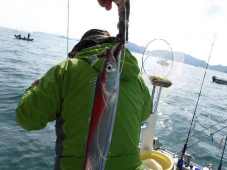 遊漁船 幸友丸 釣果