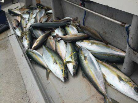 寿裕 （YOSHIHIRO） 釣果