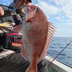 遊漁船ブルーウッズ 釣果