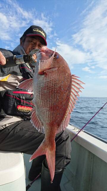 遊漁船ブルーウッズ 釣果