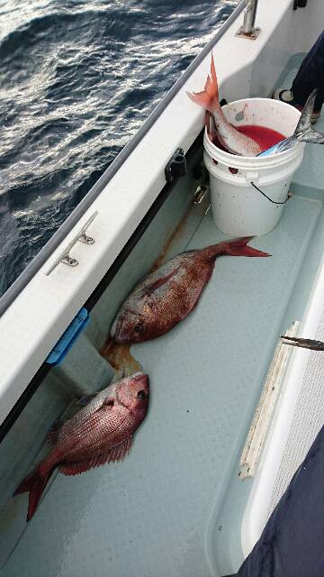 遊漁船ブルーウッズ 釣果