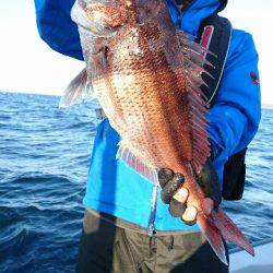 遊漁船ブルーウッズ 釣果