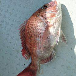 遊漁船ブルーウッズ 釣果