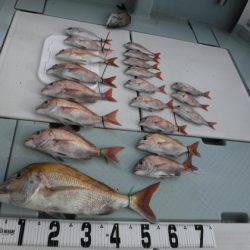 遊漁船 幸友丸 釣果