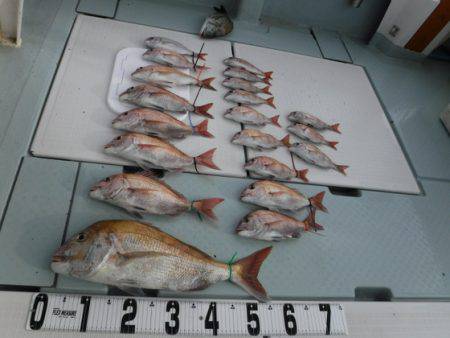 遊漁船 幸友丸 釣果