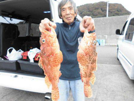 大進丸(新潟) 釣果