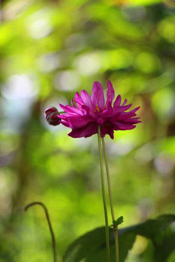 小菅トラウトガーデン 釣果