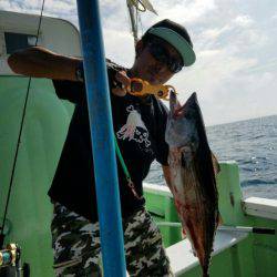 遊漁船 新鋭丸 釣果