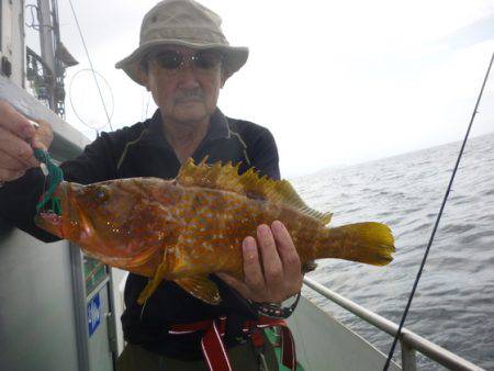 真祐丸 (しんゆうまる) 釣果