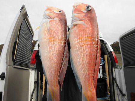 大進丸(新潟) 釣果