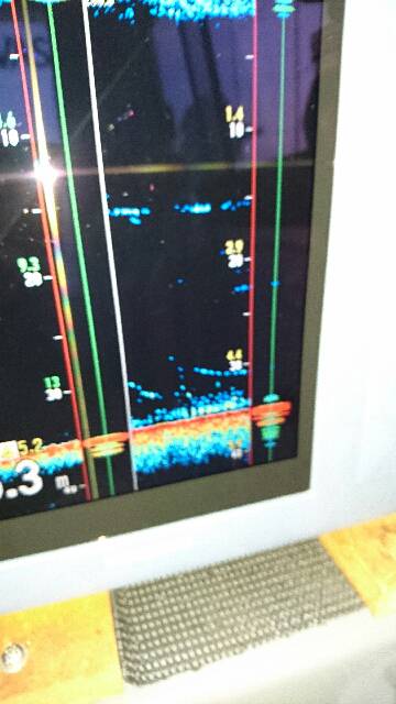 遊漁船ブルーウッズ 釣果