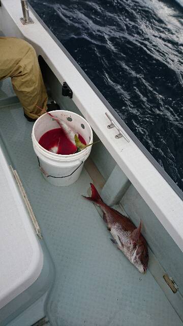 遊漁船ブルーウッズ 釣果