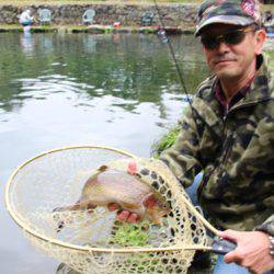 小菅トラウトガーデン 釣果