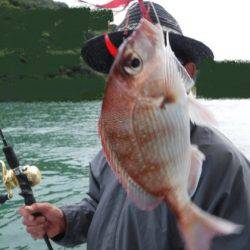 遊漁船 幸友丸 釣果