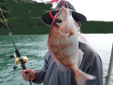 遊漁船 幸友丸 釣果