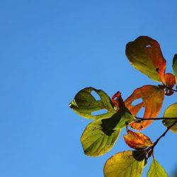 小菅トラウトガーデン 釣果