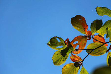 小菅トラウトガーデン 釣果