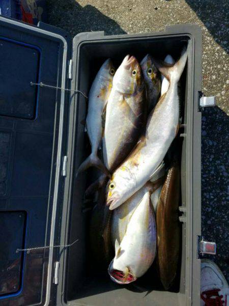 遊漁船 新鋭丸 釣果