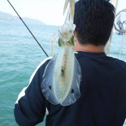 遊漁船 幸友丸 釣果