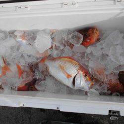 大進丸(新潟) 釣果