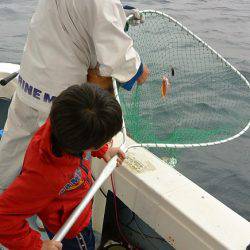 宝生丸 釣果