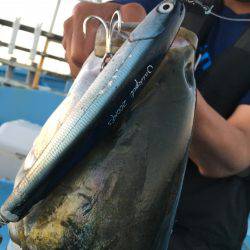 松鶴丸 釣果