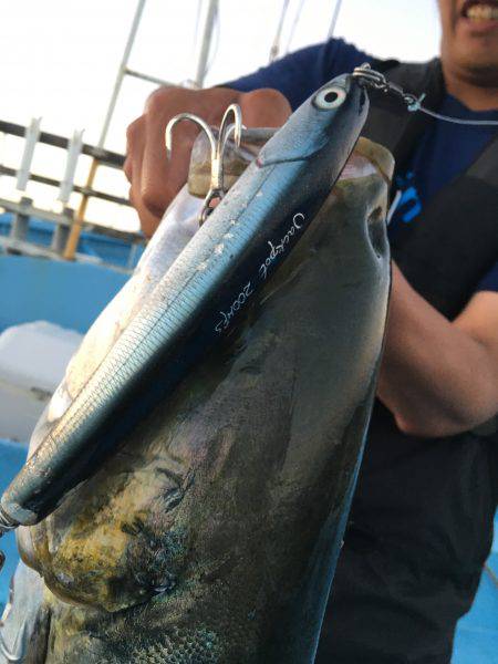 松鶴丸 釣果