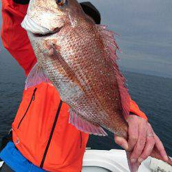 遊漁船ブルーウッズ 釣果