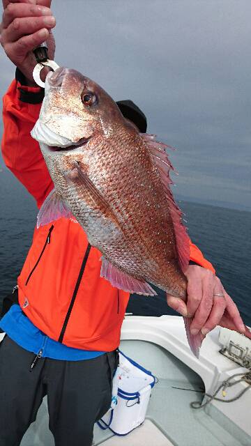 遊漁船ブルーウッズ 釣果