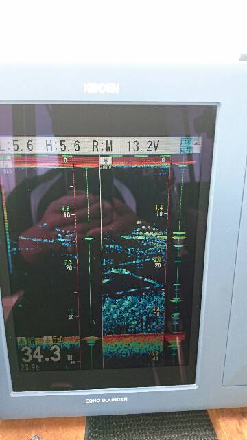 遊漁船ブルーウッズ 釣果