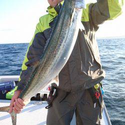 遊漁船ブルーウッズ 釣果