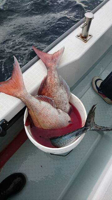 遊漁船ブルーウッズ 釣果