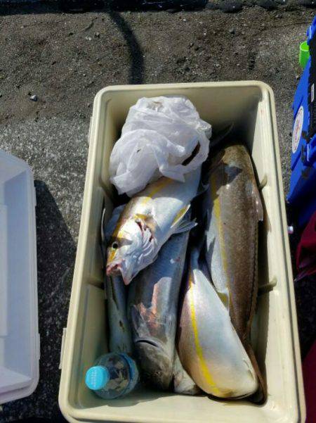 遊漁船 新鋭丸 釣果