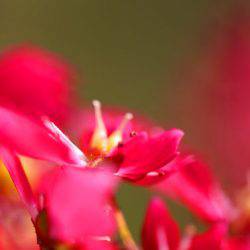 小菅トラウトガーデン 釣果