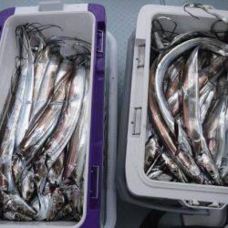 遊漁船 幸友丸 釣果