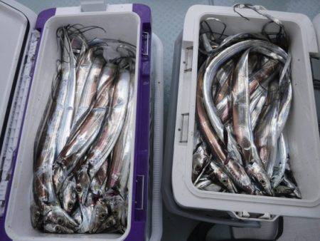 遊漁船 幸友丸 釣果