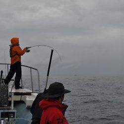 八海丸 釣果