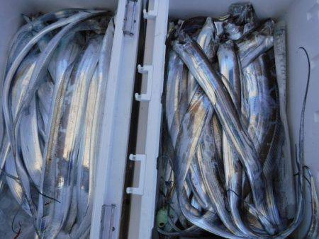 遊漁船 幸友丸 釣果