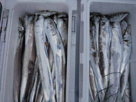 遊漁船 幸友丸 釣果