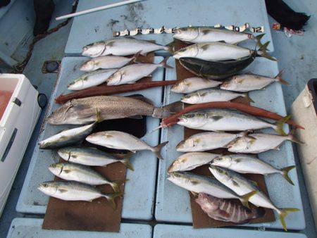 清和丸 釣果