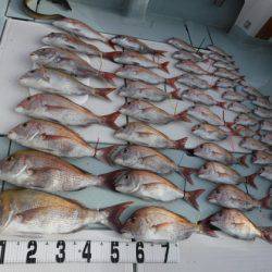 遊漁船 幸友丸 釣果