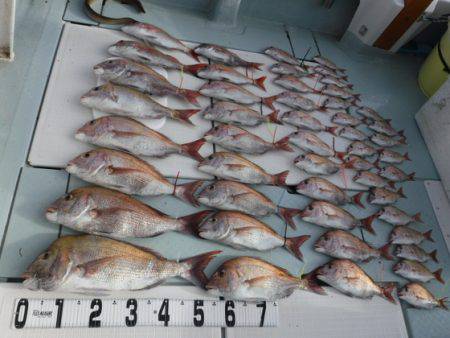 遊漁船 幸友丸 釣果