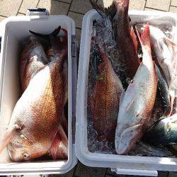 遊漁船ブルーウッズ 釣果