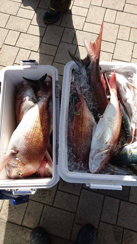 遊漁船ブルーウッズ 釣果