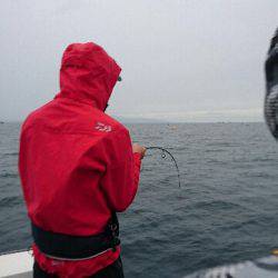 遊漁船ブルーウッズ 釣果