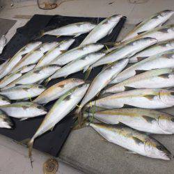 寿裕 (YOSHIHIRO) 釣果