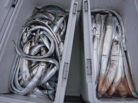 遊漁船 幸友丸 釣果